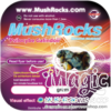 Magische Trüffel Galindoi Mushrocks