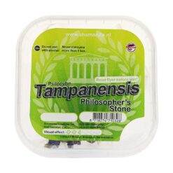 Kaufen Sie magische Trüffel Tampanensis