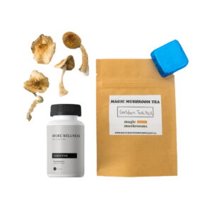Eerste keer paddo-kit: Psych 101